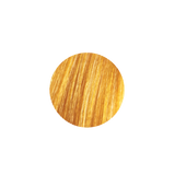 Lisaplex Pastel Color Yellow Sunflower