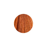 LK OPC - 8/66 Light Intense Copper Blonde
